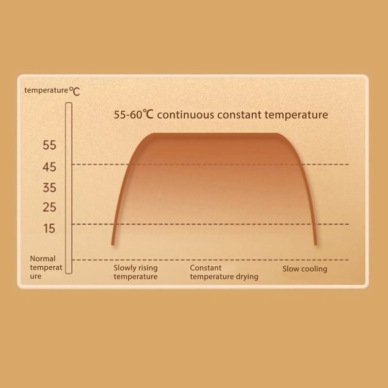Secador de Sapatos Elétrico